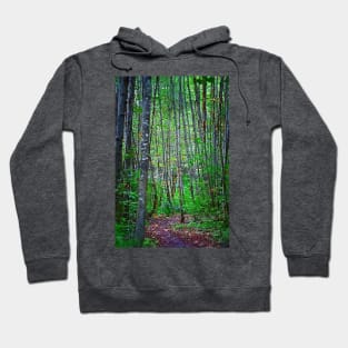 Skinny Tree Trunks Hoodie